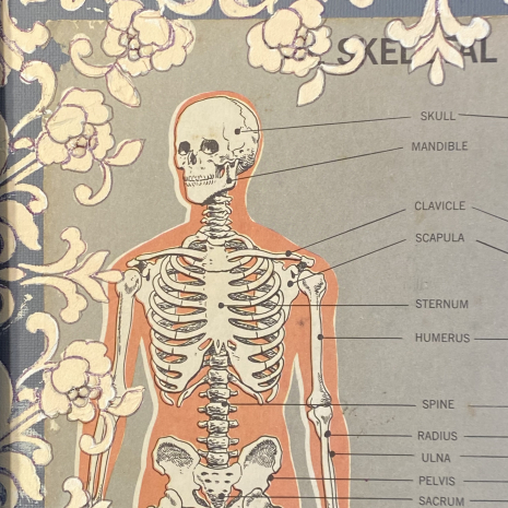 Them bones