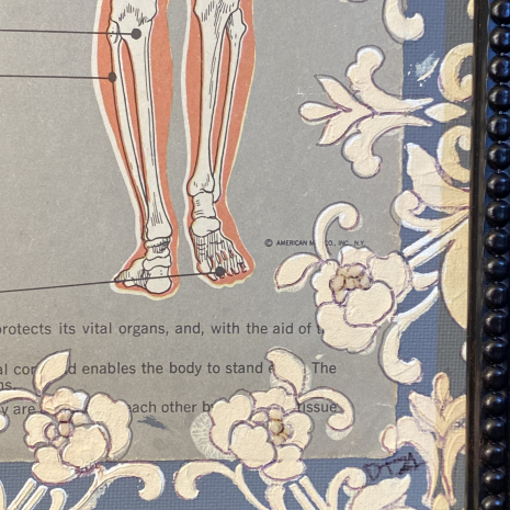 Them bones